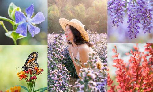 Tako lijepe, a tako štetne: Ove biljke sadite u vrtu s velikim oprezom