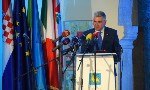 Miletić: 'Svjedočimo napadu na našu zemlju, i to pretežito od stranaca'