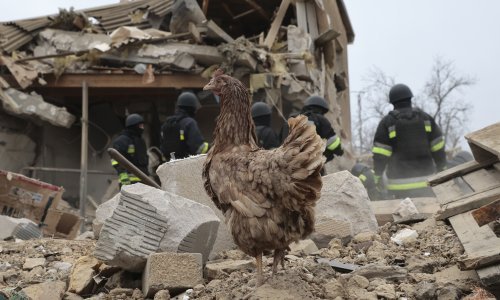 Troje poginulih u ukrajinskom granatiranju Zaporižje i Donjecka