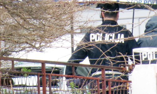 Preminula starija žena, priveden 40-godišnjak koji ju je gurnuo i udario joj psa