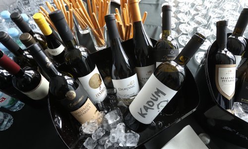 Rastu investicije u vinarstvu, ali administracija i sivo tržište rade probleme