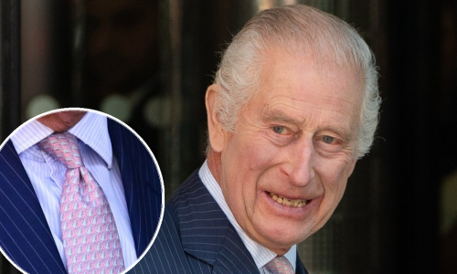 Zabavan odjevni dodatak: Nježna 'posveta' kralja Charlesa svojim unucima
