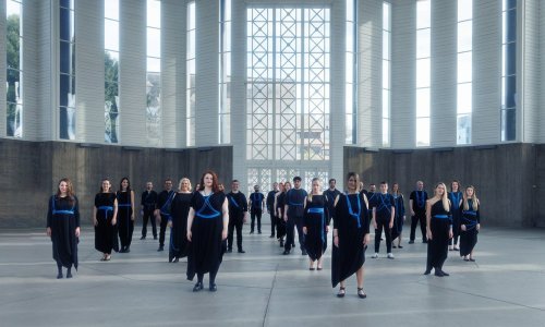 Izvorovih 30 u Lisinskom