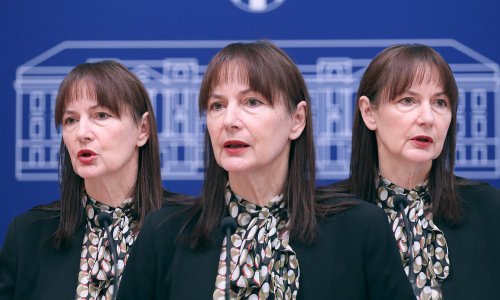 Od Domovinskog pokreta i natrag: Kako je tekla ping-pong partija Vesne Vučemilović