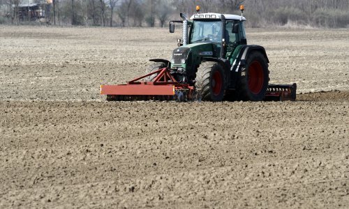 Što su posijali hrvatski farmeri? Jedna kultura je u renesansi, a probleme radi divljač