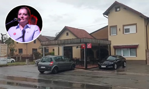 Je li DP dobio što je htio? Pupovac ugasio mobitel, Šimpraga: Bojamo jaja