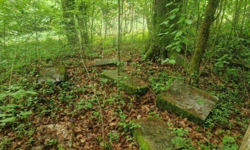 U šumi u Ozlju polako nestaje zaboravljeno židovsko groblje