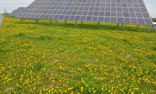 Italija priprema zabranu solarnih ploča na poljoprivrednom zemljištu