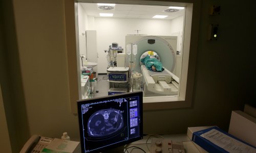 Smrznuli joj rak u Vinogradskoj: 'Sreća je bila vidjeti kako to čudo nestaje'