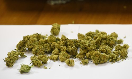 Marihuana u SAD-u postaje manje opasna droga