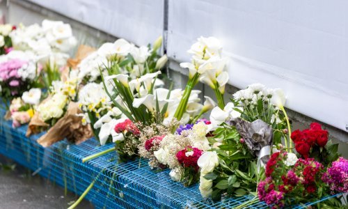 Majka dječaka ubojice iz škole 'Ribnikar' negira krivicu