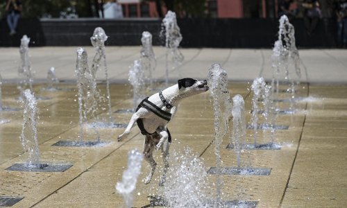 Prošlo ljeto bilo je najtoplije u 2000 godina