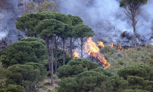 Europa hitno treba povećati otpornost na katastrofe i klimatske promjene