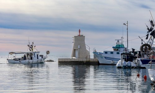 Oglasili se konačno iz Ministarstva: Slovenski ribari nisu mogli ne znati da krše pravo
