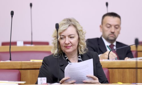 Prvi parlamentarni sukob SDSS-a i DP-a, a sve je zakuhalo oko Baby Lasagne