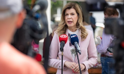 Borzan: Bira se između populističkih rješenja desnice i EU vrijednosti