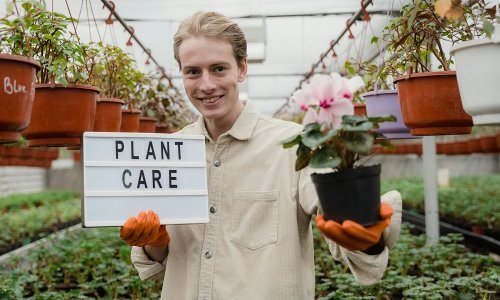 Znate li kad vam treba biljna putovnica? Hrvatska prvi put u kampanji #PlantHealth4Life!
