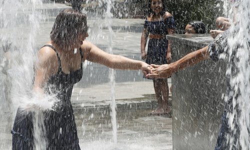 U Meksiku je toliko vruće da majmuni mrtvi padaju s drveća