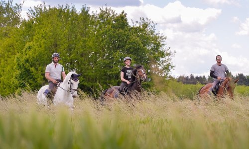 Ručno stvoreno: očaravajući svijet tradicija Varaždinske županije