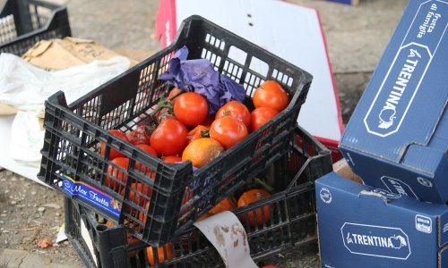 Udar na okoliš i novčanik: Svaki Hrvat godišnje baci 71 kilogram hrane