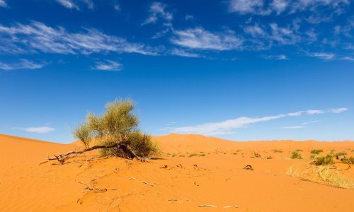 Jedno od najvažnijih razdoblja: Znate li zašto je i kada Sahara bila zelena?