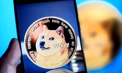 Uginula je Kabosu, maskota dogecoina i kultni 'meme pas'