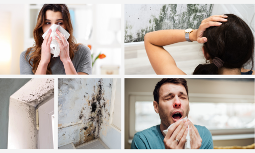 Zaboravi brigu oko vlage u kućanstvu - ovo je trajno rješenje