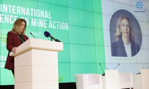 'Mine i dalje nanose patnju i predstavljaju stalnu prijetnju sigurnosti'