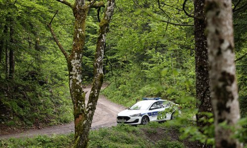 Čovjek otišao u gljive pa nestao u šumi: Policija ga pronašla u groznom stanju