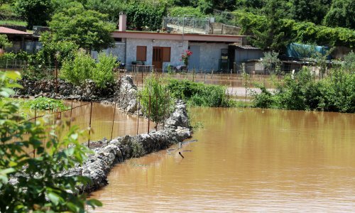 Dabro obećao pomoć poljoprivrednicima nakon poplava