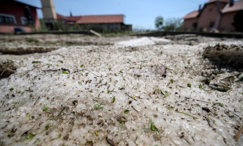 Proglašena prirodna nepogoda od tuče za Novi Marof i Breznički Hum