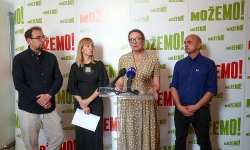 Raukar-Gamulin: Kulturu nijedna druga stranka nije stavila u teme kampanje za EU izbore