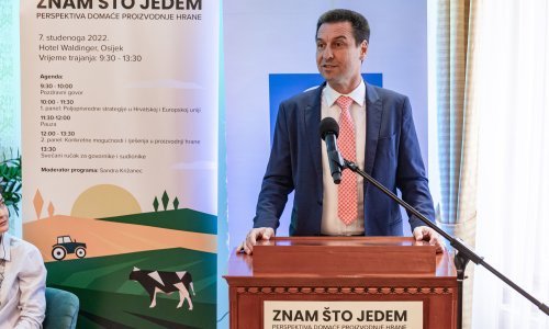 Iličić pozvao da mu glas daju oni kojima se ne sviđa što su vidjeli na Euroviziji