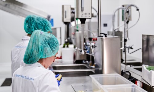 U najvećoj svjetskoj tvornici prirodnog artizanskog gelata dnevno se proizvede 15 tona