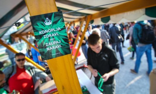 Slovenija postaje kanabis-meka: Broj biljaka po kućanstvu još se dogovara