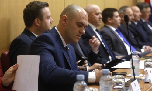 Ministar Dabro otkrio kako namjerava iskorijeniti afričku svinjsku kugu