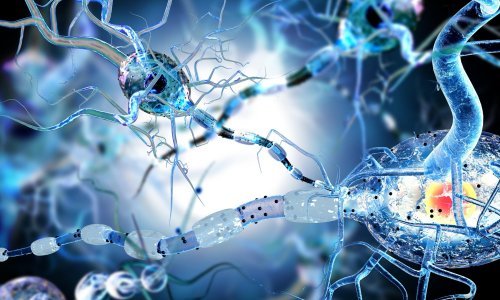 Revolucija u zdravstvu: Ovaj sustav koristi AI kako bi naučio 'jezik tumora'