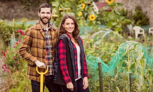 Uništava sve pred sobom: Ovu popularnu biljku imaju skoro svi, a izaziva tisuće eura štete