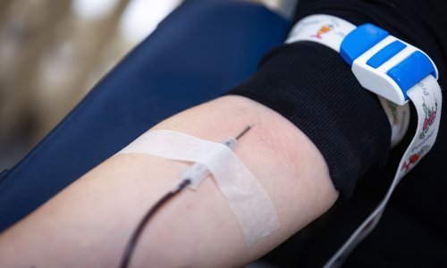 Sve manje mladih daruje krv: Crveni križ poziva na akciju uoči ljetne sezone