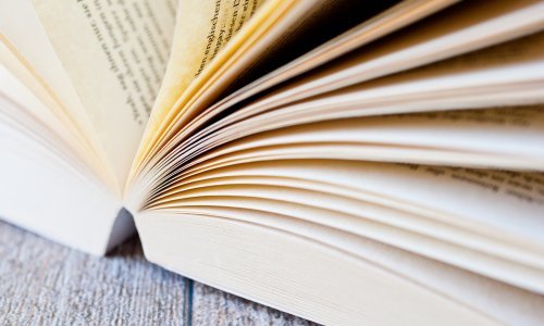 Nagradu 'Hrvatski stećak' dobio jezikoslovac Domagoj Vidović