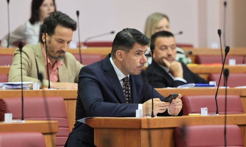 Sabor odlučuje o istražnom povjerenstvu o covidu