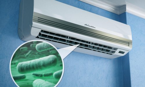 Legionela, nevidljiva prijetnja koja vreba iz vode: Evo kako je prepoznati