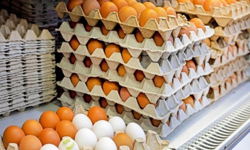 Ova jaja se povlače s tržišta zbog salmonele, provjerite imate li ih kod kuće