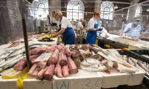 U svibnju 1,8 posto više zaposlenih na godišnjoj razini