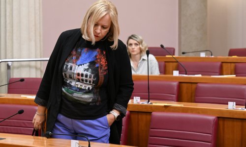 Ikić Baniček ostaje imunitet, novinari moraju čekati kraj mandata