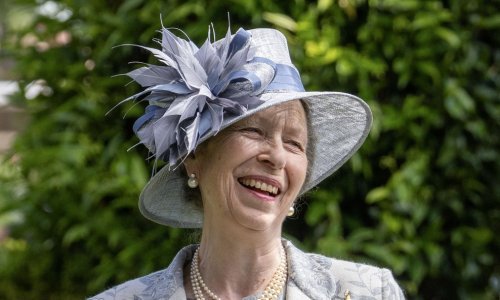 Princeza Anne završila u bolnici: Ima potres mozga