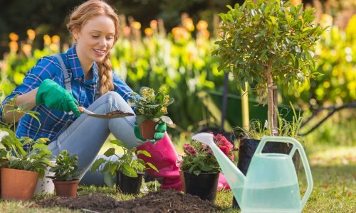 Ove prekrasne biljke jednostavno morate imati u svojem vrtu ovoga ljeta