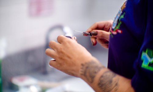 Finska će prva u svijetu početi cijepiti ljude protiv ptičje gripe