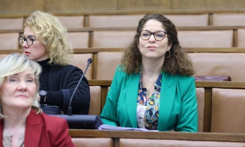 Pučka pravobraniteljica: Najviše primjedbi građana je iz područja zdravstva