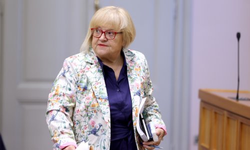 Mrak Taritaš: Tražit ćemo da se medicinski potpomognuta oplodnja omogući svim ženama